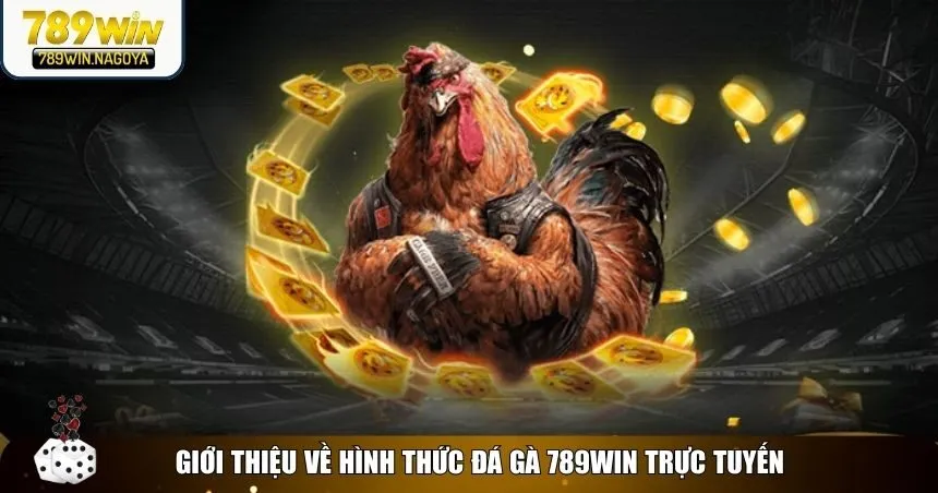 Đá gà 789win mang đến trải nghiệm cá cược trực tuyến hấp dẫn 